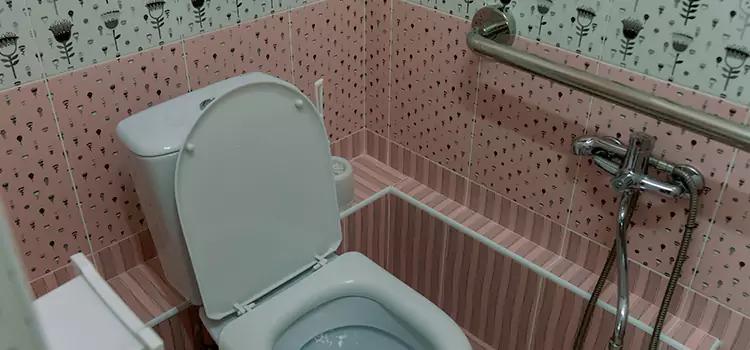 Meeting Diverse Needs With Accessible Restroom Solutions in Corsicana, TX